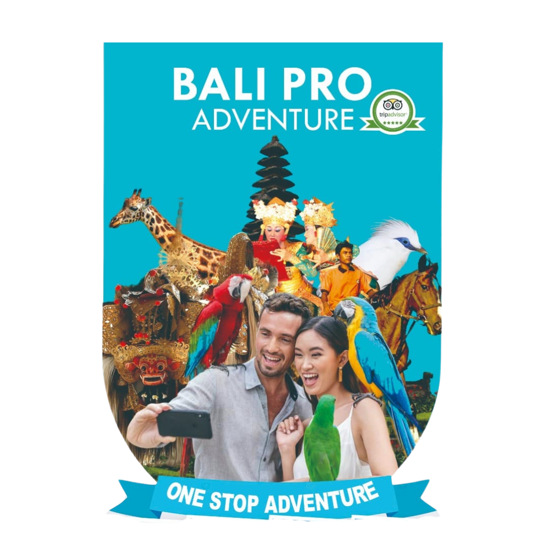 Bali Pro Adventure